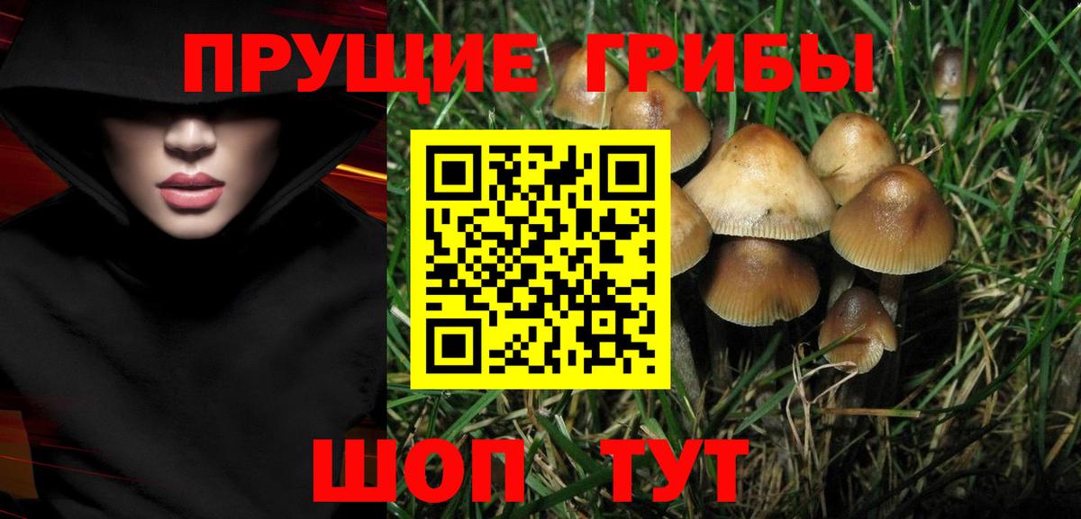 Псилоцибиновые грибы ЛСД Алапаевск